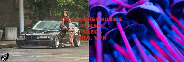 Альфа ПВП Магас